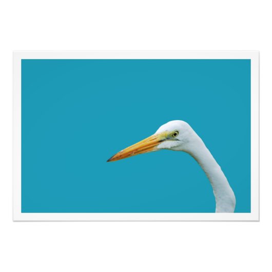 Erweiterung des Fotos Fotodruck (Vorne)