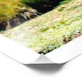 Erweiterung des Fotos Fotodruck (Ecke)