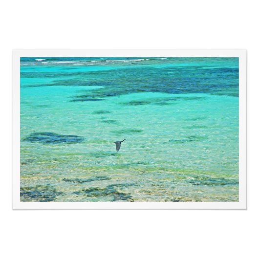 Erweiterung des Fotos Fotodruck (Vorne)