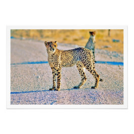 Erweiterung des Fotos Fotodruck