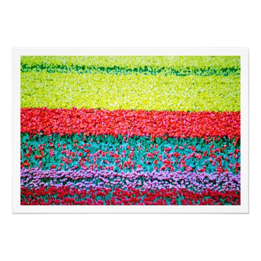 Erweiterung des Fotos Fotodruck (Vorne)