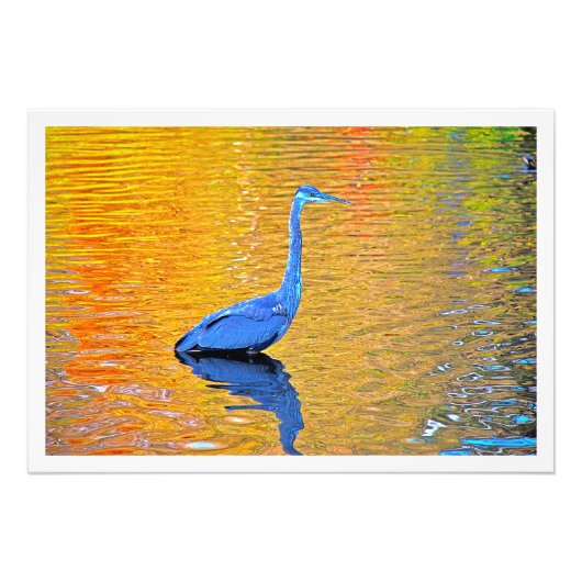 Erweiterung des Fotos Fotodruck (Vorne)