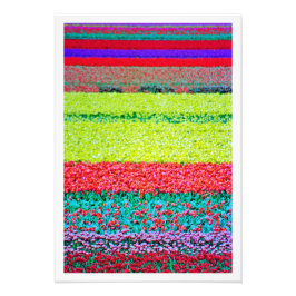 Erweiterung des Fotos Fotodruck