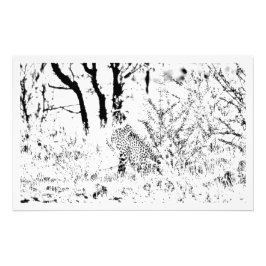 Erweiterung des Fotos Fotodruck