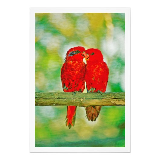 Erweiterung des Fotos Fotodruck (Vorne)