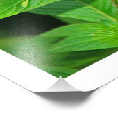 Erweiterung des Fotos Fotodruck (Ecke)