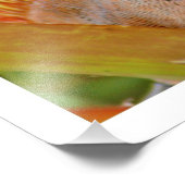 Erweiterung des Fotos Fotodruck (Ecke)