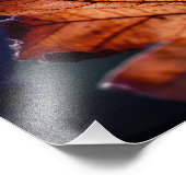 Erweiterung des Fotos im Herbst Fotodruck (Ecke)