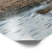 Erweiterung des Gator-Fotos Fotodruck (Ecke)