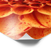 Erweiterung des Orange-Blume-Fotos nah Fotodruck (Ecke)