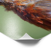 Erweiterung des Rotkreuz-Fotos Fotodruck (Ecke)