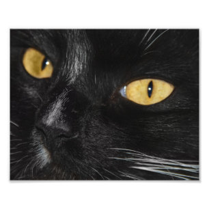 Erweiterung des Schwarzen Fotos Fotodruck