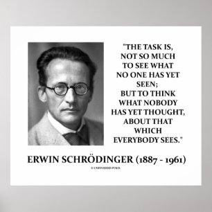 Erwin Schrödinger Task "Thunfisch bis heute denken Poster