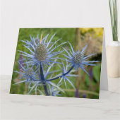 Eryngium Maritimum, Sea Holly Karte (Vorderseite)