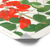 Erythrina, Panicum von Tanigami Konan Poster (Ecke)