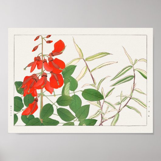 Erythrina, Panicum von Tanigami Konan Poster (Vorne)