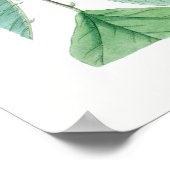 Erythrina x bidwillii 'Camdeni' Poster (Ecke)