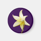 Erythronium Magnet (Vorne)