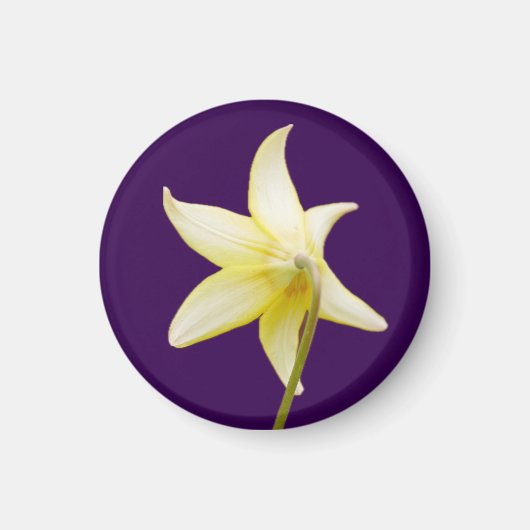 Erythronium Magnet (Vorne)