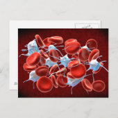Erythrozyten mit Leukozyten Postkarte (Vorne/Hinten)