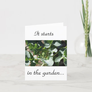 Es beginnt im Garten Karte
