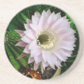 Es blühte! untersetzer (Vorne)