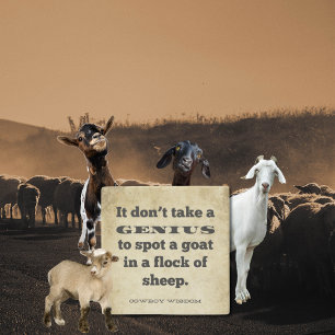 Es braucht keine Cowboy Wisdom Südliche Zitate Steinuntersetzer