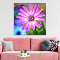 Es geht um die Kunst der Leinwand Daisy Gallery