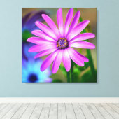 Es geht um die Kunst der Leinwand Daisy Gallery (Insitu (Holzboden))