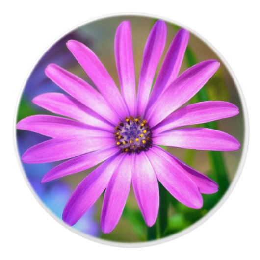 Es geht um mich, Daisy Keramik Knob Keramikknauf (Vorderseite)