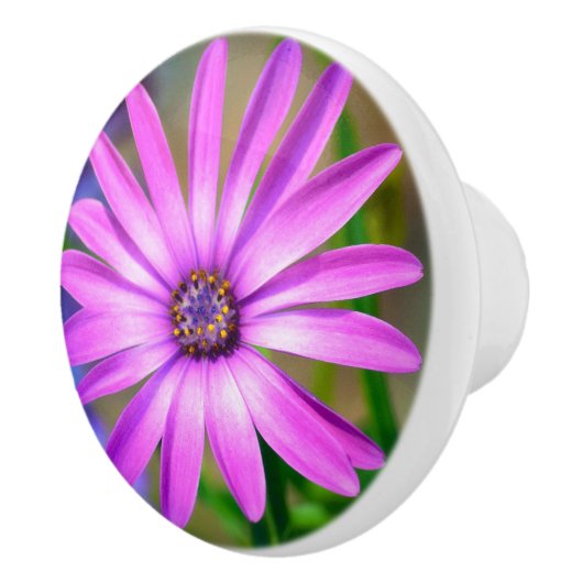 Es geht um mich, Daisy Keramik Knob Keramikknauf (Rechts)
