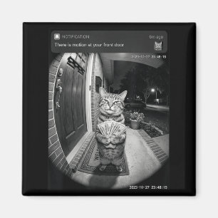 Es gibt Bewegung an der Vordertür Lustiges Katzen- Magnet