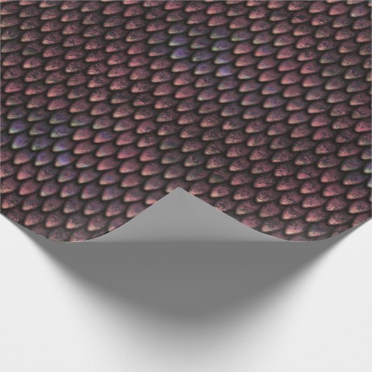 Es gibt Drachen! XIV Geschenkpapier (Ecke)