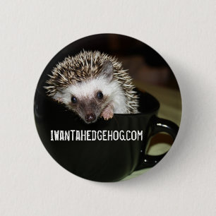 Es gibt einen Igel in meinem Kaffee Button