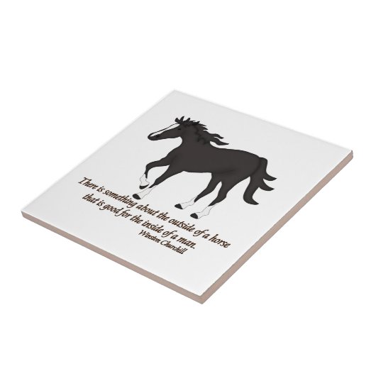 Es gibt etwas über das Äußere eines Pferdes Fliese (Seite)