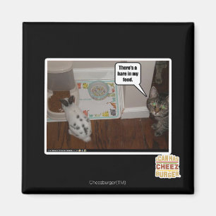 Es gibt Hasen in meiner Nahrung Magnet