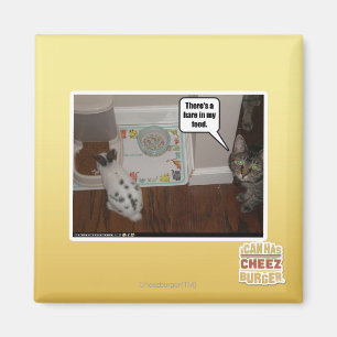 Es gibt Hasen in meiner Nahrung Magnet