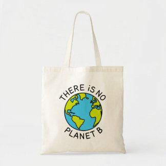 Es gibt kein Planet-B-Umweltkonzept2 Tragetasche