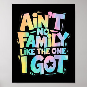 Es gibt keine Familie wie die, die ich habe, passe Poster