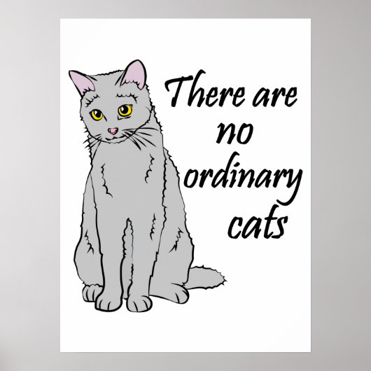 Es gibt keine gewöhnlichen Katzen Poster (Vorne)