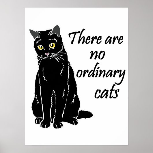Es gibt keine gewöhnlichen Katzen Poster (Vorne)