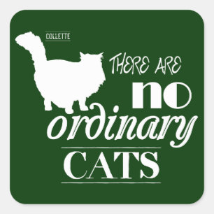 Es gibt keine gewöhnlichen Katzen Quadratischer Aufkleber