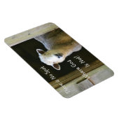 Es gibt keinen Ort, an dem Gott nicht Schafe ist Magnet (Rechte Seite)