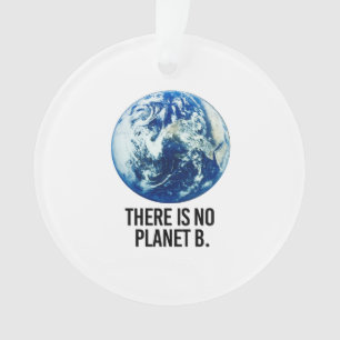 Es gibt keinen Planeten B Ornament