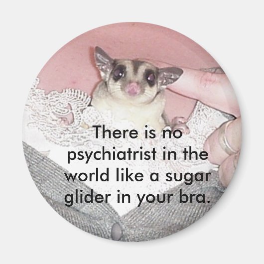 Es gibt keinen Psychiater... Magnet (Vorne)