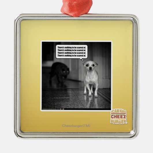 Es gibt nichts, von erschrocken zu werden silbernes ornament (Vorne)