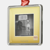 Es gibt nichts, von erschrocken zu werden silbernes ornament (Links)