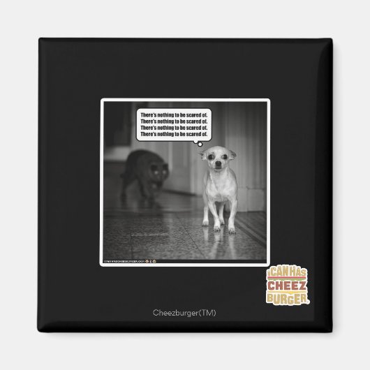 Es gibt nichts, wovor man sich fürchten müsste magnet (Vorne)