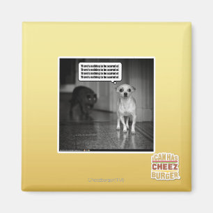 Es gibt nichts, wovor man sich fürchten müsste magnet