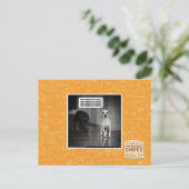 Es gibt nichts, wovor man sich fürchten müsste postkarte (Stehend Vorderseite)